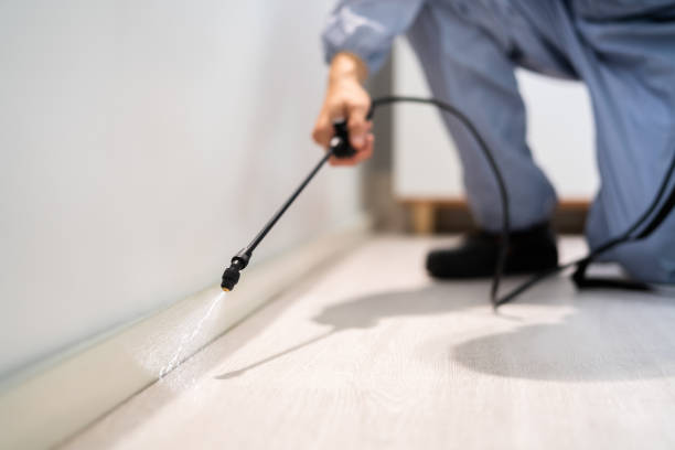 Licensed Pest Control service in University of Pittsburgh Johnstown, PA - Show Me Pest Control