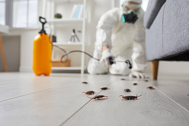 Commercial Kitchen Cockroach Control in University of Pittsburgh Johnstown